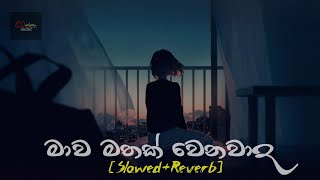 Mawa Mathak Wenawada මාව මතක් වෙනවාද​ Slowed amp Reverb Song❤ kassa music slowedreverb [upl. by Samale]