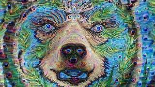 Spirit Bear  A Journey thought the Neural Network Dream [upl. by Pearse]