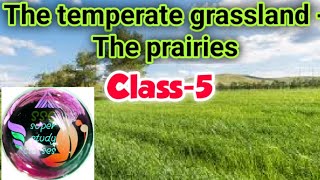 Temperate grasslandsthe prairiesch6class5Sst Geography [upl. by Akinehs847]