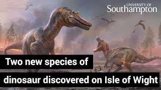 Two new species of dinosaur discovered on Isle of Wight  University of Southampton [upl. by Lethia]