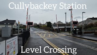 Cullybackey Station Level Crossing Ballymena Thursday March 21032023 [upl. by Yralih]