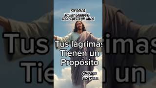 Elcreador007 Sept 9 2024 se llora pero sin dolor no hay ganador Más tarde te reirás de llorar [upl. by Dot]