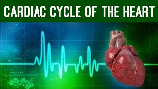 Cardiac Cycle and Conduction System of Heart Physiology Animation [upl. by Hterrag]