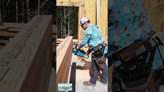 Framer W Chainsaw construction framinglife houseconstruction houseframing [upl. by Namzaj]