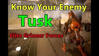 Know Your Enemy Grineer quotTuskquot Elite Forces Warframe [upl. by Bobseine9]