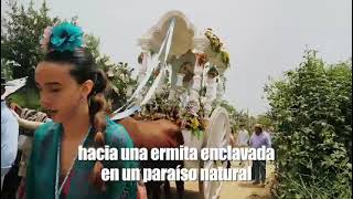 Romeria Divina Pastora 2023 [upl. by Ymar361]