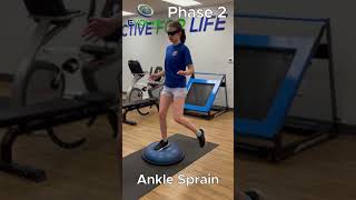 Proprioception Exercises to Maximize Ankle Stability With a Soccer Player  Grade III Ankle Sprain [upl. by Tammie]