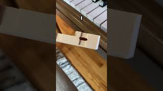 Mice damage in piano piano pianotuning music satisfying woodworking [upl. by Cohdwell458]