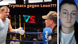 Leon Machere will nach Standart Skill gegen Trymacs kämpfen🥊 Reaktion [upl. by Reinke286]