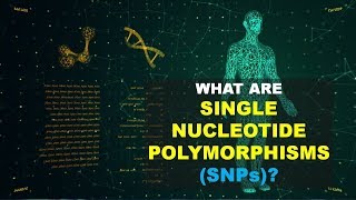 SNPs Single Nucleotide Polymorphism0 Better Explained [upl. by Dail]