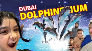 Dubai Dolphinarium  Dolphin amp Seal show  Dubai attractions  Creek Park [upl. by Hitchcock]