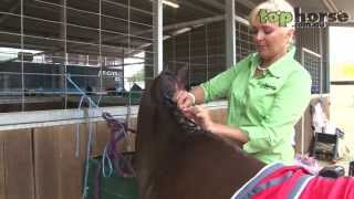 How to Plait A Mane For The Showring [upl. by Aldrich]