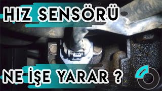 Hız Sensörü Nedir Arızası Nasıl Anlaşılır [upl. by Buffy]