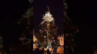 Prague Christmas Market Tree [upl. by Civ]