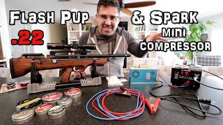 Hatsan Flash Pup 22 Air Rifle Review  Accuracy TEST  SPARK 4500 psi Airgun Compressor  PCP [upl. by Nrol]