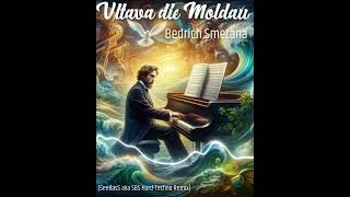 Bedrich Smetana  Vltava  die Moldau SeeBasS aka SBS HardTechno Remix [upl. by Eelrebma]