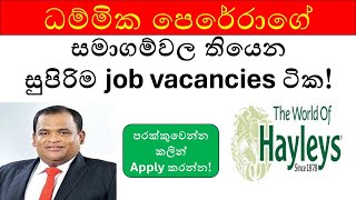 How to Apply for Hayleys Group Job Vacancies in 2024  StepbyStep Guide for Sri Lankans [upl. by Maibach]