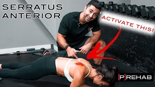 The BEST Serratus Anterior Exercises [upl. by Ardnasac]