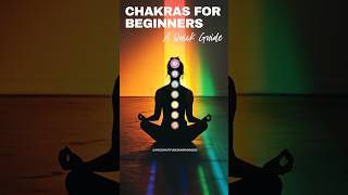 CHAKRAS for BEGINNERS – A Quick Guide [upl. by Noe]