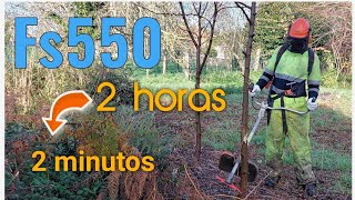 Desbroce duro con la stihl Fs550 2 horas de trabajo en 2 minutos de video [upl. by Shamma]