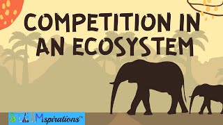 Competition in an Ecosystem Mutualism Intraspecific Interspecific Relationships [upl. by Scrivenor46]