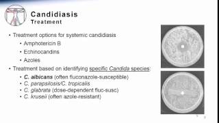 Candida Systemic Candidiasis Treatment amp Prevention [upl. by Oneil]