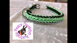 How to make a small dog collar with micro paracord  fully adjustable herringbone pattern [upl. by Reger148]