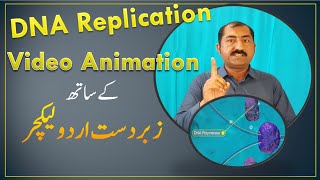 DNA Replication Video Animation in Urdu [upl. by Takeo]