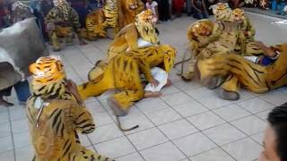 Corpus Christi Pacú Suchiapa Chiapas 2015 [upl. by Grinnell503]