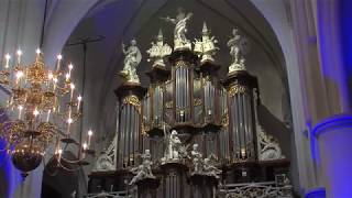 Hugo van der Meij  Dierbre Heiland mijn verlosser  Hinsz orgel  Martinikerk Bolsward [upl. by Dail]