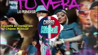 PAPPA TYGA ❌ LA PERVERSA  TU VERA DOBLE TONO​  PARA MUSICOLOGOS​ [upl. by Siekram]