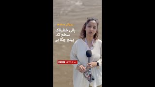 River Indus Water reaches dangerously high levels  BBC URDU [upl. by Suidualc770]