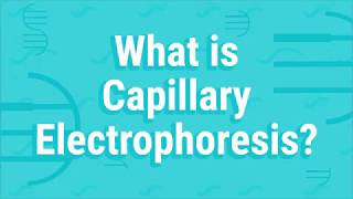 What Is Capillary Electrophoresis [upl. by Noskcire]