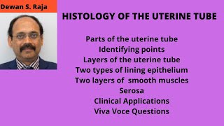 HISTOLOGY OF THE UTERINE TUBE [upl. by Letisha]