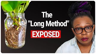 The Long Method FailProof LECA Plant Transfer [upl. by Llerdnad505]