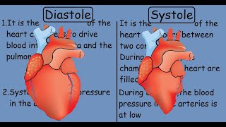 Diastole vs Systole  Human Heart [upl. by Syst]