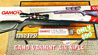 GAMO Varmint Air Rifle 177 Cal Break Barrel  Unboxing and Review [upl. by Home949]