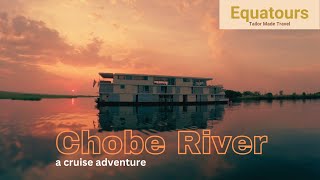 The Zambezi Queen  A cruise adventure on the Chobe River [upl. by Mia665]