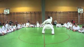 CHINTO KATA Nesodden Nov 23 2010 SUPER POWER  Stephen Chan Special [upl. by Kenison637]