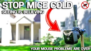 EASY WAY to Get Rid of Mice in Your House FOREVER  No More Mousetraps [upl. by Aremmat]