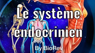 Physiologie animale le système endocrinien glande hormone hypothalamus et hypophyse [upl. by Beeck]