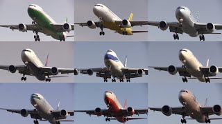 160320 成田国際空港（成田空港） 飛行機の着陸進入シーン Final Approach Scene of Various Airliners at Narita Intl Airport [upl. by Jennilee265]