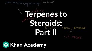 From terpenes to steroids part 2 Squalene cholesterol and steroids  Khan Academy [upl. by Ion]