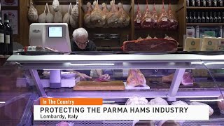 Italian Pork Industry Faces African Swine Fever [upl. by Magel]