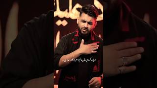 Karbobala Dikhaden  Tejani Brothers Nohay 2024  Muharram Status video shorts nohay2024 muharram [upl. by Noryk]