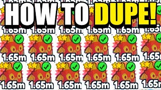 How to DUPE PETS in Pet Simulator X Infinite Pets [upl. by Gnen771]