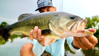 Topwater Bass amp Snakehead on Hobie Lynx Ultimate Shallow Water Fishing Kayak [upl. by Kerwinn248]