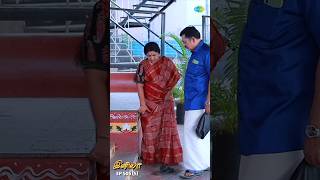 INIYA Serial Shorts  Ep 505  5  Alya ManasaRishi shorts ytshorts  Saregama TV Shows Tamil [upl. by Ennairek]