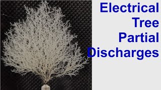 35 Types of Partial Discharges  Electrical Treeing [upl. by Hamel]