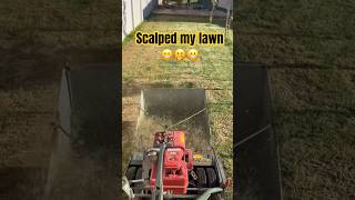 Scalped my lawn leveling using sand lawn diy [upl. by Filip318]